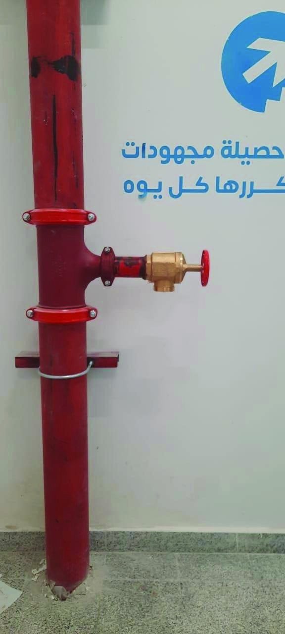 Fire protection riser